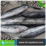 Carton or Woven Bag Packed Without Faure Marin Iced Bonito thumbnail-1