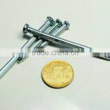 Silver Steel Concrete Nails thumbnail-2