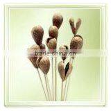 Mike Fruit On Stem thumbnail-1