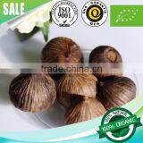 Super Anti-oxidant Japanese Fermented Solo Clove Black Garlic thumbnail-3