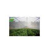 Multi-span Agricultural Greenhouse