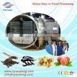 Industrial Freeze Dry Machine for Pepper, Eggplant, Pear, Peach, Apple, Papay Processing thumbnail-2