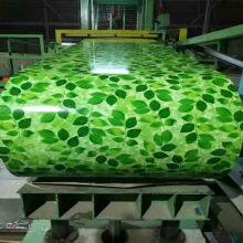 Hot Selling Double Coating PPGI Steel Coil Color Prepainted Steel Roll thumbnail-5
