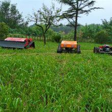 Remote Control Lawn Mower Price, China Remote Controlled Lawn Mower Price, Remote Control Brush Cutter for Sale thumbnail-3