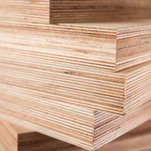 100% birch plywood