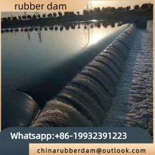 Целого склона ландшафтный экологический резиновый дамб thumbnail-3