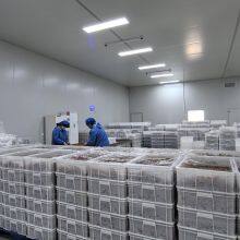 Quality OEM FDA Soft Gummy Candy and Sour Gummy Worm thumbnail-5