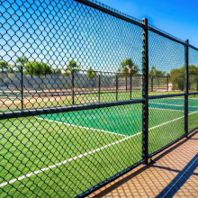 Premium PVC Coated Zinc Basketball Court Fencing in Black/Green for Tennis & Pickleball thumbnail-3