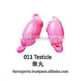 Testicle thumbnail-1