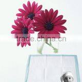 Baby Underpad, Incontinent Underpad, Medical Underpad