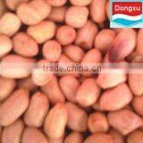 Raw Green Peanuts