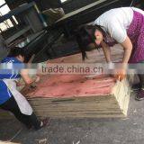 Construction Material Hardwood Plywood With Poplar Made in China thumbnail-5