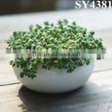 Cheap Indoor White Ceramic Flower Vase thumbnail-5