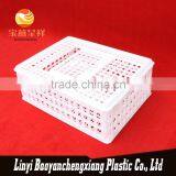 New Polyethylene China Factory Plastic Chicken Cage thumbnail-1