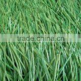 Cheapest Stem Shape Yarn Artificial Grass for Soccer Field Football Court