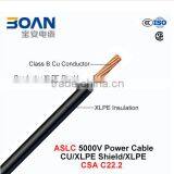 Aslc Power Cable Cu/XLPE Shield/XLPE Insulation 5000V 1/C CSA C22.2 thumbnail-1