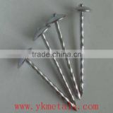 Galvanized Roofing Nails With Umbrella Head ( China Supplier)