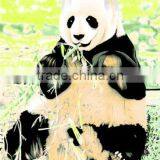 Customerized Printed Polar Fleece Blanket