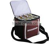 Disposable Cooler Bag