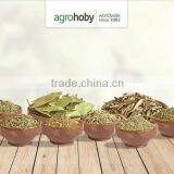 Turkish Rosemary Best Quality thumbnail-2