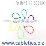 UL Approved PA66 Wire Nylon Cable Ties