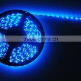 SMD3528 Flexible Led Strip Dmx Led Strip 5m 3528 Led Strip Light Flat Led Light Strip Type and LED Light Source Flat Led Strip