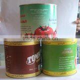 400g Canned Tomato Paste Tomato Ketchup thumbnail-3