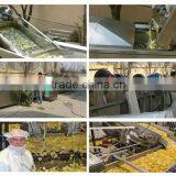 Frying Machine/potato Frying Machine/potato Chips Frying Machine thumbnail-4