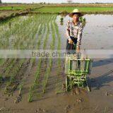 China Factory Best Price of Manual Rice Transplanter for Sale thumbnail-1
