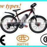 Electric Bicycle, Brushless Motor Electric Bicycle, DC Brushless Motor Electric Bicycle, Amthi 305.10 thumbnail-1