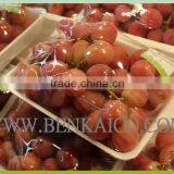 Food Packaging Saran Wrap thumbnail-4