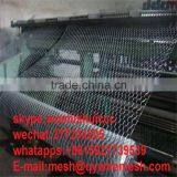 Cheap Window Screen One Way Fiberglass Window Screen Fiberglass Mosquito Netting in Roll thumbnail-5