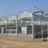 Plastic Greenhouses for Agricultur thumbnail-5