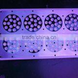 Apollo 6 LED GROW LIGHT for Hydroponics thumbnail-5
