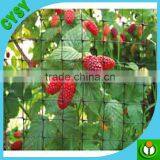 BOP Strech Net/anti Bird Net/PP Net Used for Agricultural, Popular Anti Bird Net Nylon or PE or PP thumbnail-4