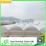 Multispan Tunnel Greenhouse for Flower thumbnail-3