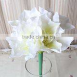 SJ10111100 Guangzhou Shengjie Artifiical Clivia Flower Sale With Factory Price thumbnail-1