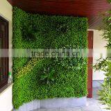 Ornamental Plants Wall thumbnail-3