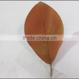 High Quality Artificial Magnolia Leaf thumbnail-2