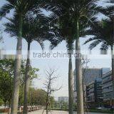 Royal Palm Tree Ornamental Artificial Washingtonia Robusta Palm Trees for Sale thumbnail-2