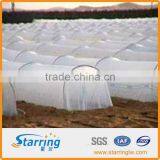 Agriculture Non-woven Crop Cover/Turf Protection Fabric thumbnail-1