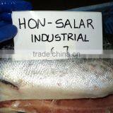 Atlantic Salmon thumbnail-2