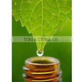 Mentha Oil thumbnail-2