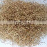 Oil Palm Fiber thumbnail-2
