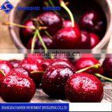 Import Agent of Red Cherry Chile Fruit for Customs Clearance Import Fruit