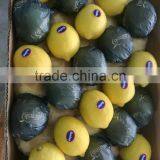 Fresh Citrus Fruits /Yellow Eureka Fresh Lemon thumbnail-1