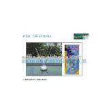 Car Antenna thumbnail-1