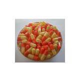 Empty Hard Capsule thumbnail-1