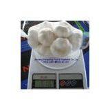 2011 Pure White Fresh Garlic thumbnail-1