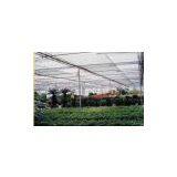 Honey Comb Sheet thumbnail-2